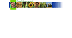 Desktop Screenshot of davidhammerstein.org